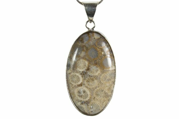 Polished Indonesian Fossil Coral Pendant (Necklace) #345296